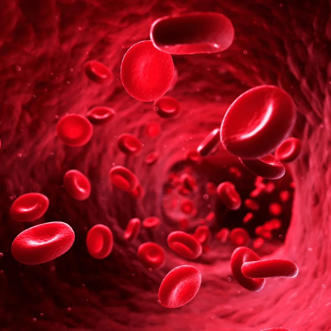 blood blood