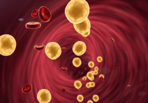 Cholesterol! Fact and Fiction